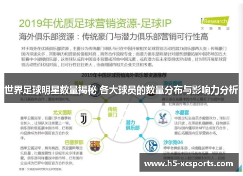 世界足球明星数量揭秘 各大球员的数量分布与影响力分析