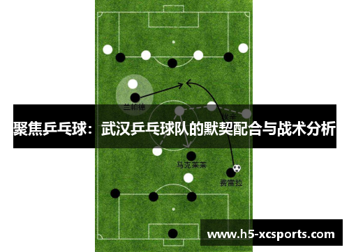 聚焦乒乓球：武汉乒乓球队的默契配合与战术分析